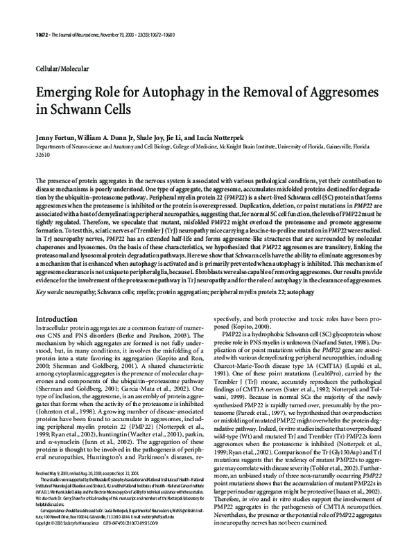 (PDF) Emerging role for autophagy in the removal of aggresomes in ...