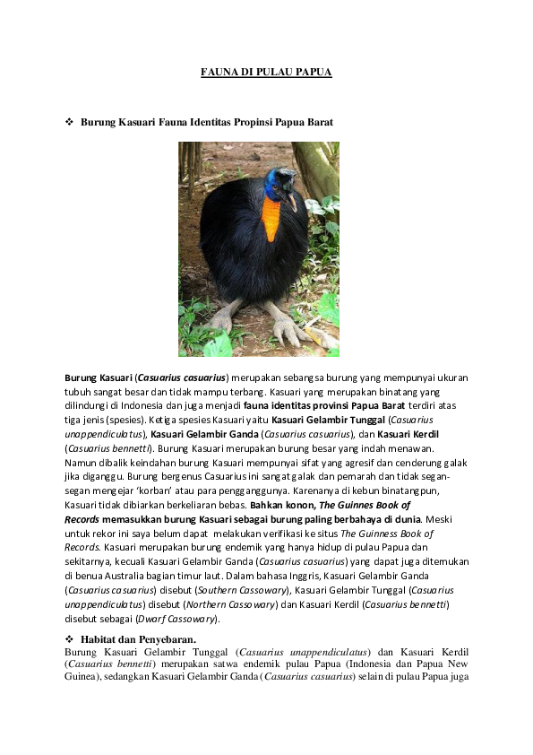 Doc Fauna Di Pulau Papua Naufal Abdul Afif Academia Edu