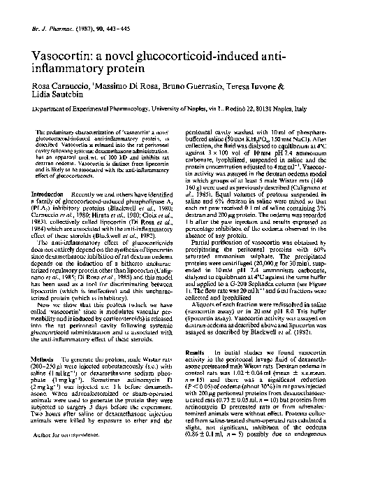 Pdf Vasocortin A Novel Glucocorticoid Induced Anti Inflammatory Protein Rosa Carnuccio Academia Edu