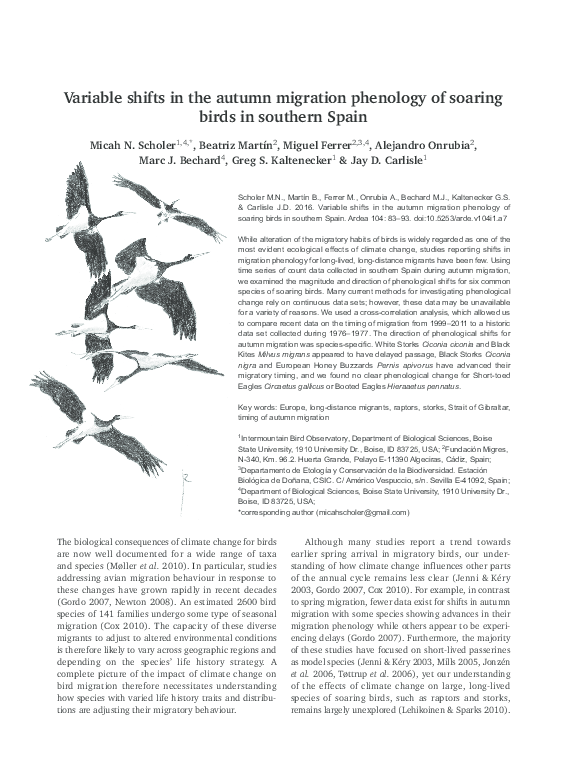 (PDF) Variable shifts in the autumn migration phenology of soaring ...