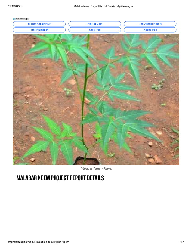 Importance of tree plantation essay image