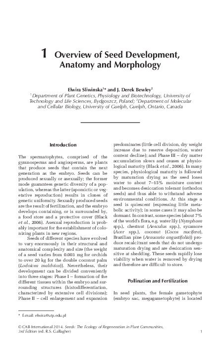 (PDF) Overview of seed development, anatomy and morphology