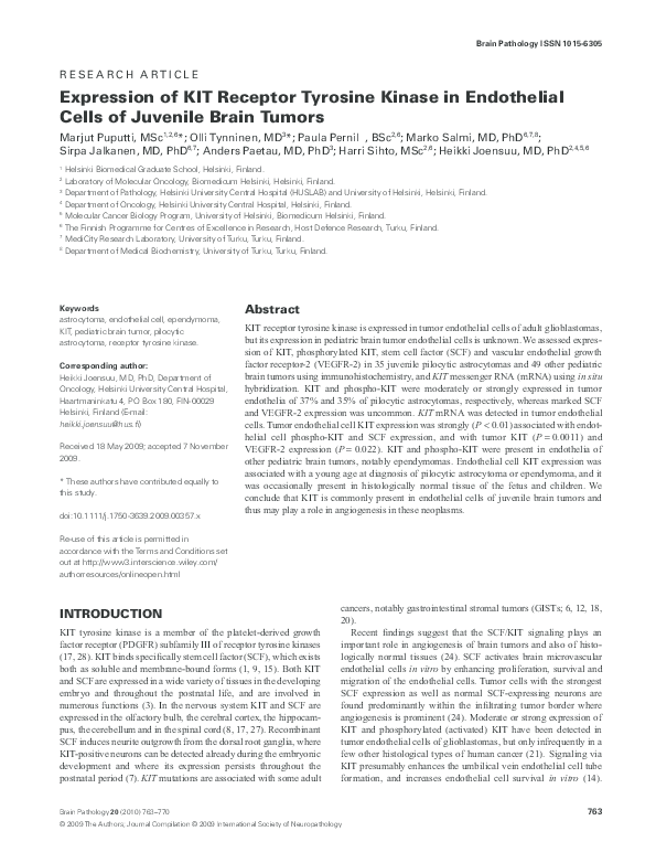 Expression of KIT Receptor Tyrosine Kinase in Endothelial Cells of ...