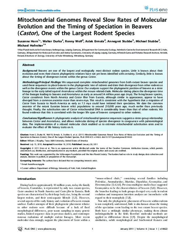 (PDF) Mitochondrial Genomes Reveal Slow Rates of Molecular Evolution ...