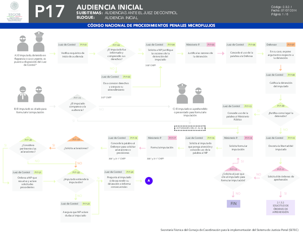 Audiencia Inicial Codigo Nacional De Procedimientos Penales