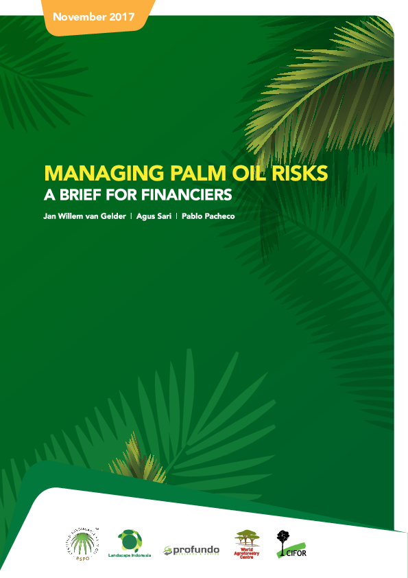 (PDF) Managing Palm Oil Risks A brief for financiers Pablo Pacheco