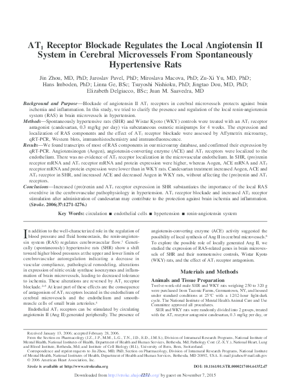 (PDF) AT1 Receptor Blockade Regulates the Local Angiotensin II System ...