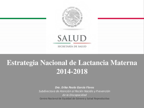 (PDF) Estrategia Nacional de Lactancia Materna 2014-2018