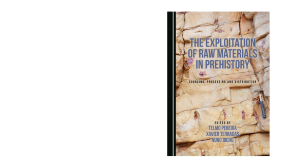 (PDF) The Exploitation of Raw Materials in Prehistory Sourcing ...
