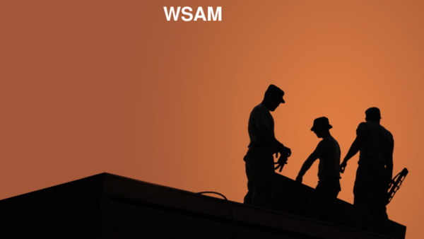 (PDF) WSAM