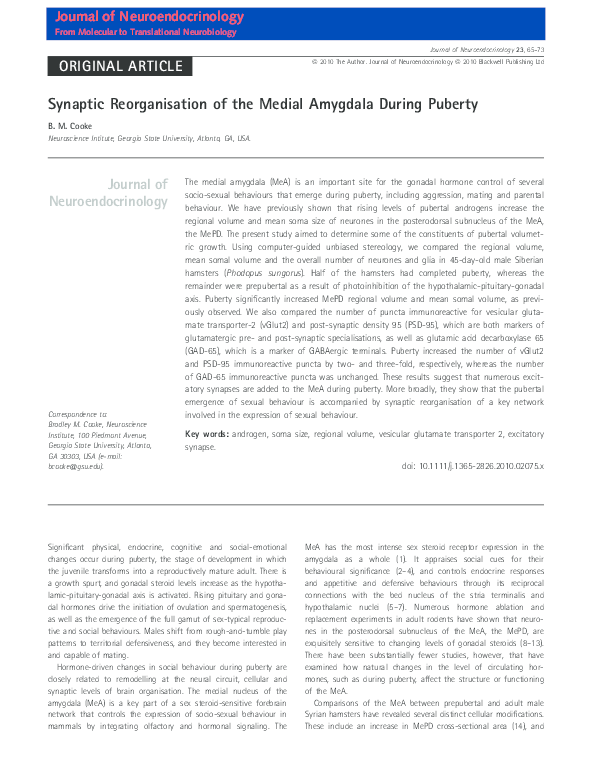 (PDF) Synaptic Reorganisation of the Medial Amygdala During Puberty