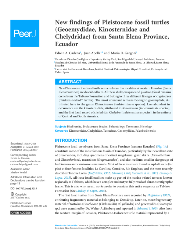 (PDF) New findings of Pleistocene fossil turtles (Geoemydidae ...