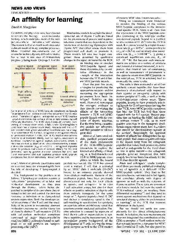 (PDF) An affinity for learning