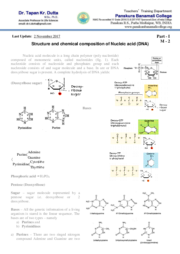 (PDF) Structure and chemical composition of Nucleic acid (DNA Tapan Dutta Academia.edu