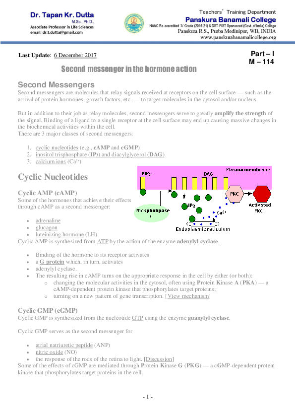 (PDF) Second messenger in the hormone action