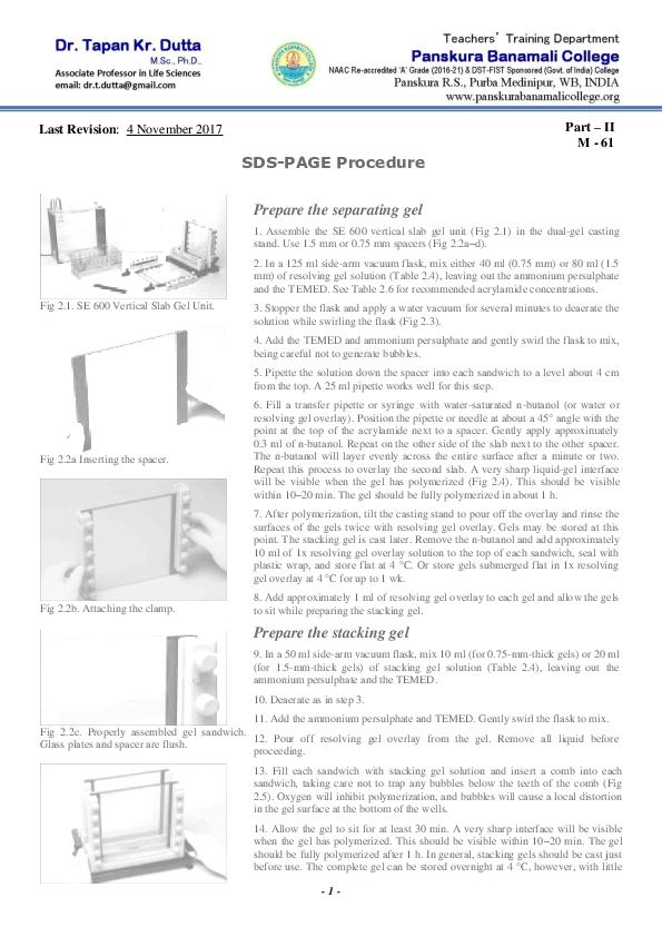 (PDF) SDSPAGE Procedure Prepare the separating gel Tapan Dutta
