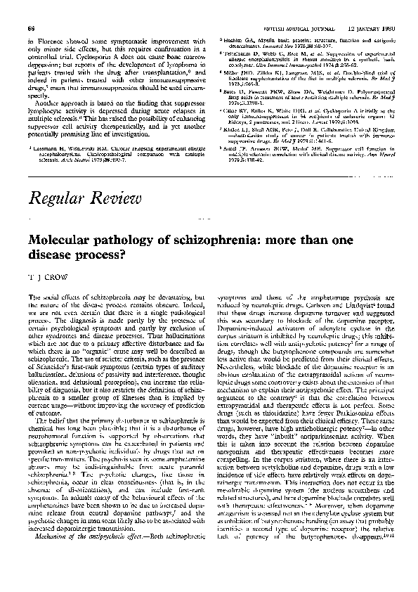 Pathology Of Schizophrenia