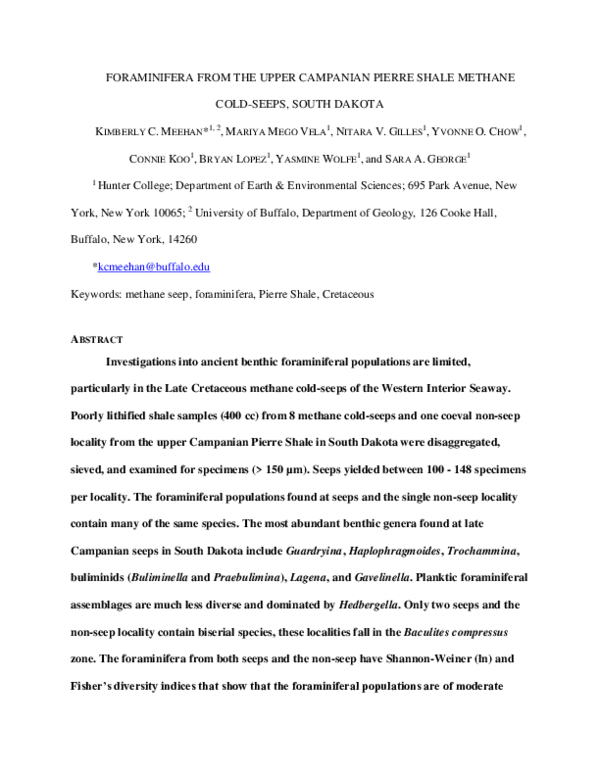Chemosynthesis picture