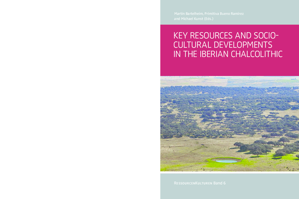 (PDF) The Social Value of Things. Amber and Copper in the Iberian ...
