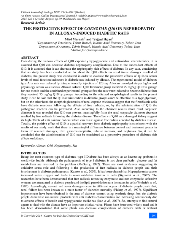 (PDF) THE PROTECTIVE EFFECT OF COENZYME Q10 ON NEPHROPATHY IN ALLOXAN ...