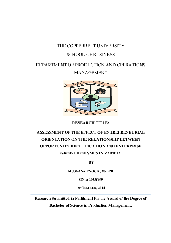 (PDF) The Effect of Entrepreneurial Orientation on the Relationship ...