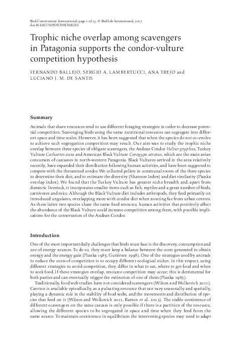 Patagonia challenge essay 04 image