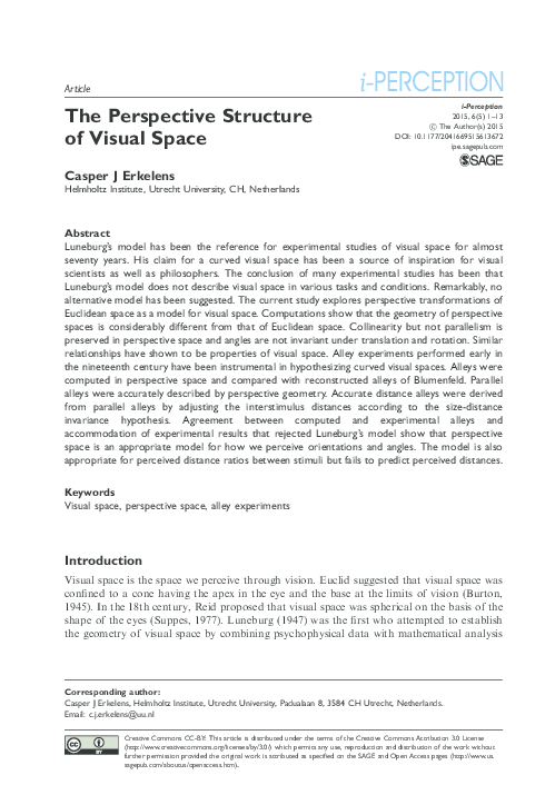 (PDF) The Perspective Structure of Visual Space