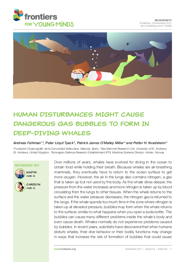 (PDF) HUMAN DISTURBANCES MIGHT CAUSE DANGEROUS GAS BUBBLES TO FORM IN