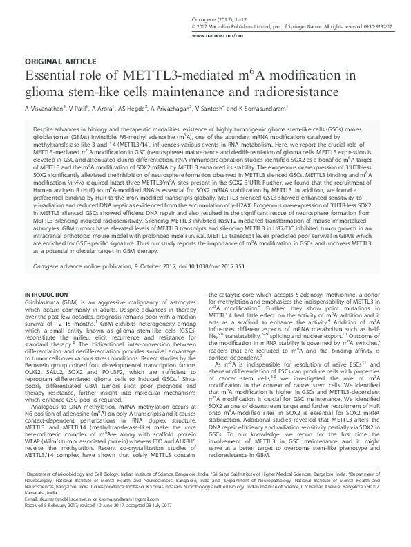 (PDF) Essential role of METTL3-mediated m 6 A modification in glioma ...