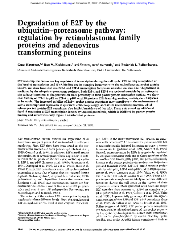 (PDF) Degradation of E2F by the ubiquitin-proteasome pathway ...