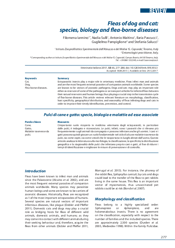 (PDF) Fleas of dog and cat: species, biology and flea-borne diseases