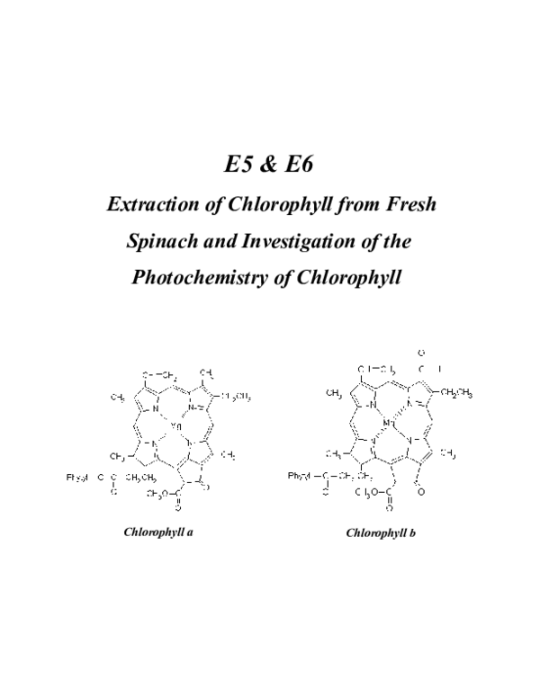 (DOC) E5 & E6 Extraction of Chlorophyll from Fresh Spinach and