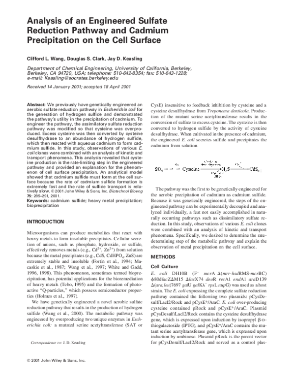 (PDF) Analysis of an engineered sulfate reduction pathway and cadmium precipitation on the cell