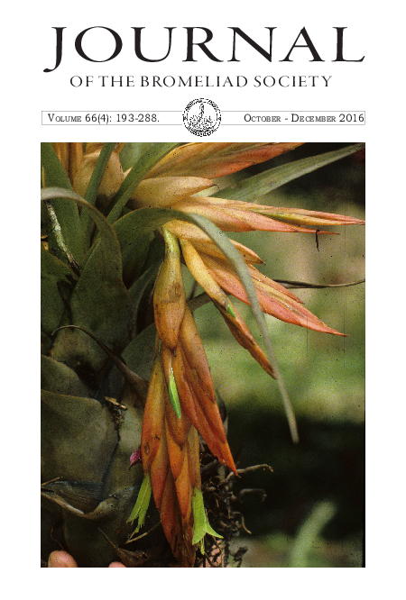 PDF) A record for the newly described species Tillandsia hansonii