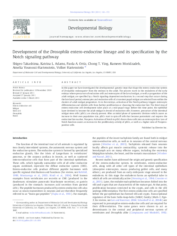 (PDF) Development of the Drosophila entero-endocrine lineage and its ...