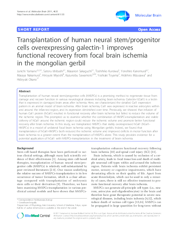 (PDF) Transplantation of human neural stem/progenitor cells ...