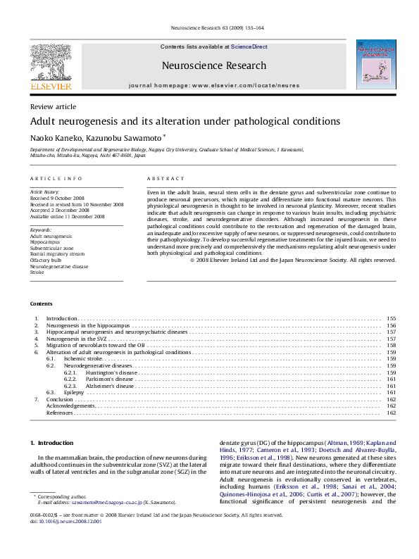 (PDF) Adult neurogenesis and its alteration under pathological conditions