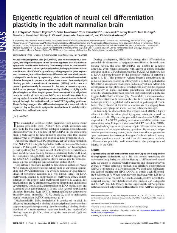 (PDF) Epigenetic regulation of neural cell differentiation plasticity ...