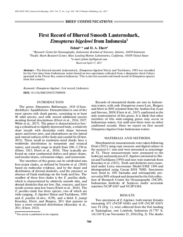 (PDF) First Record of Blurred Smooth Lanternshark, Etmopterus bigelowi