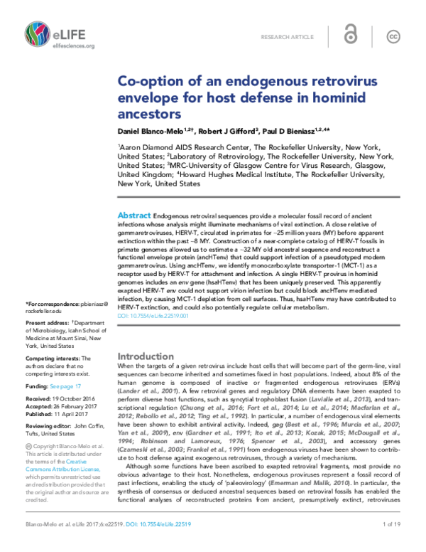 Definition of retrovirus image