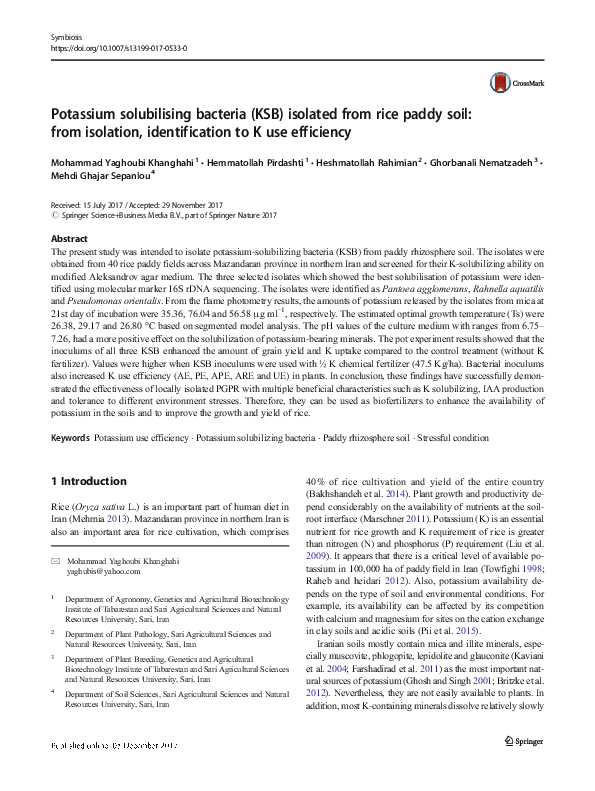 (PDF) Potassium solubilising bacteria (KSB) isolated from rice paddy ...