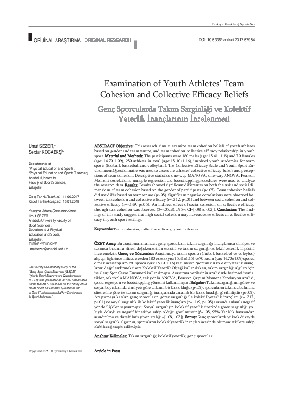 (PDF) Examination of Youth Athletes' Team Cohesion and Collective ...