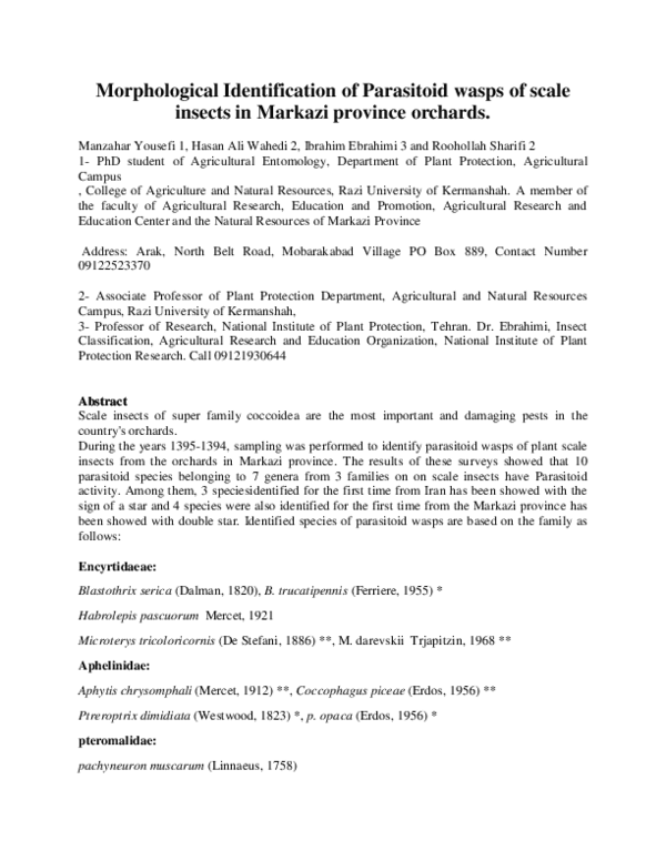 (DOC) Morphological Identification of Parasitoid wasps of scale insects ...