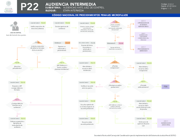 (PDF) AUDIENCIAS ANTE JUEZ DE CONTROL ETAPA INTERMEDIA AUDIENCIA