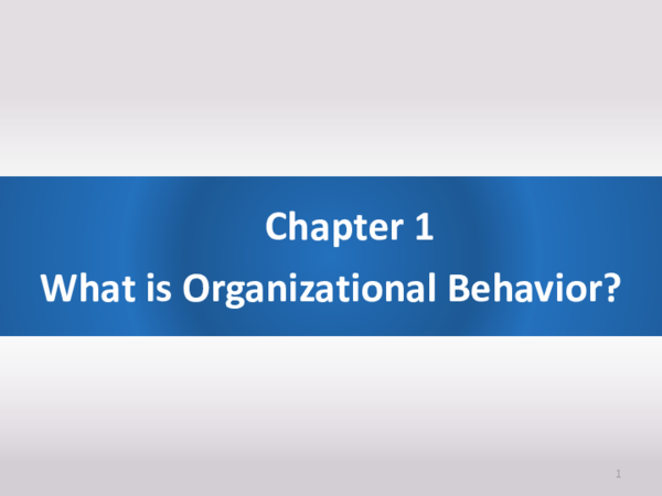 (PDF) Chapter 1 What is Organizational Behavior