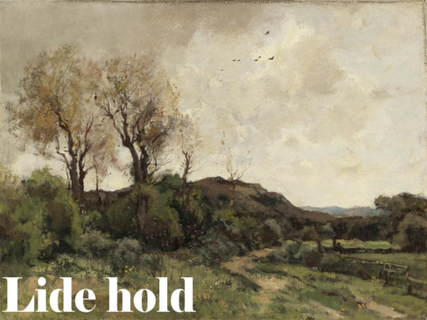 (PDF) Lidehold, dorp in de Roerdalslenk