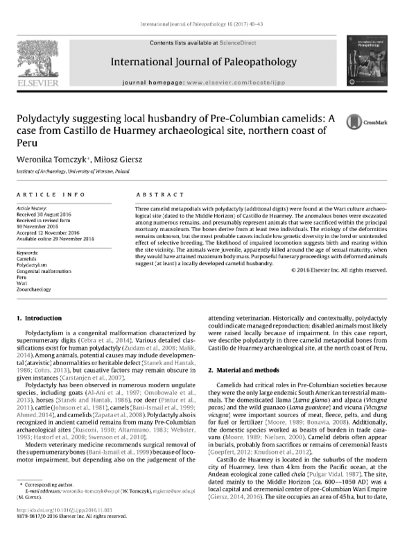 Polydactyl case essay 04 image