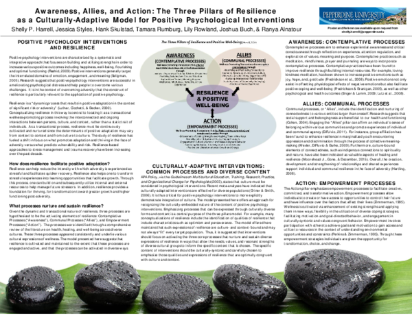(PDF) Awareness, Allies and Action: The Three Pillars of Resilience