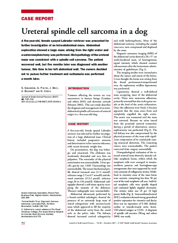 (PDF) Ureteral spindle cell in a dog Sergio Guilherme