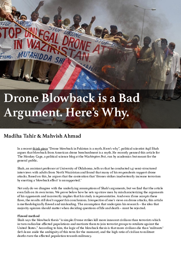 Blowback essay 02 image